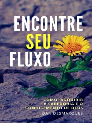 cover image of Encontre Seu fluxo